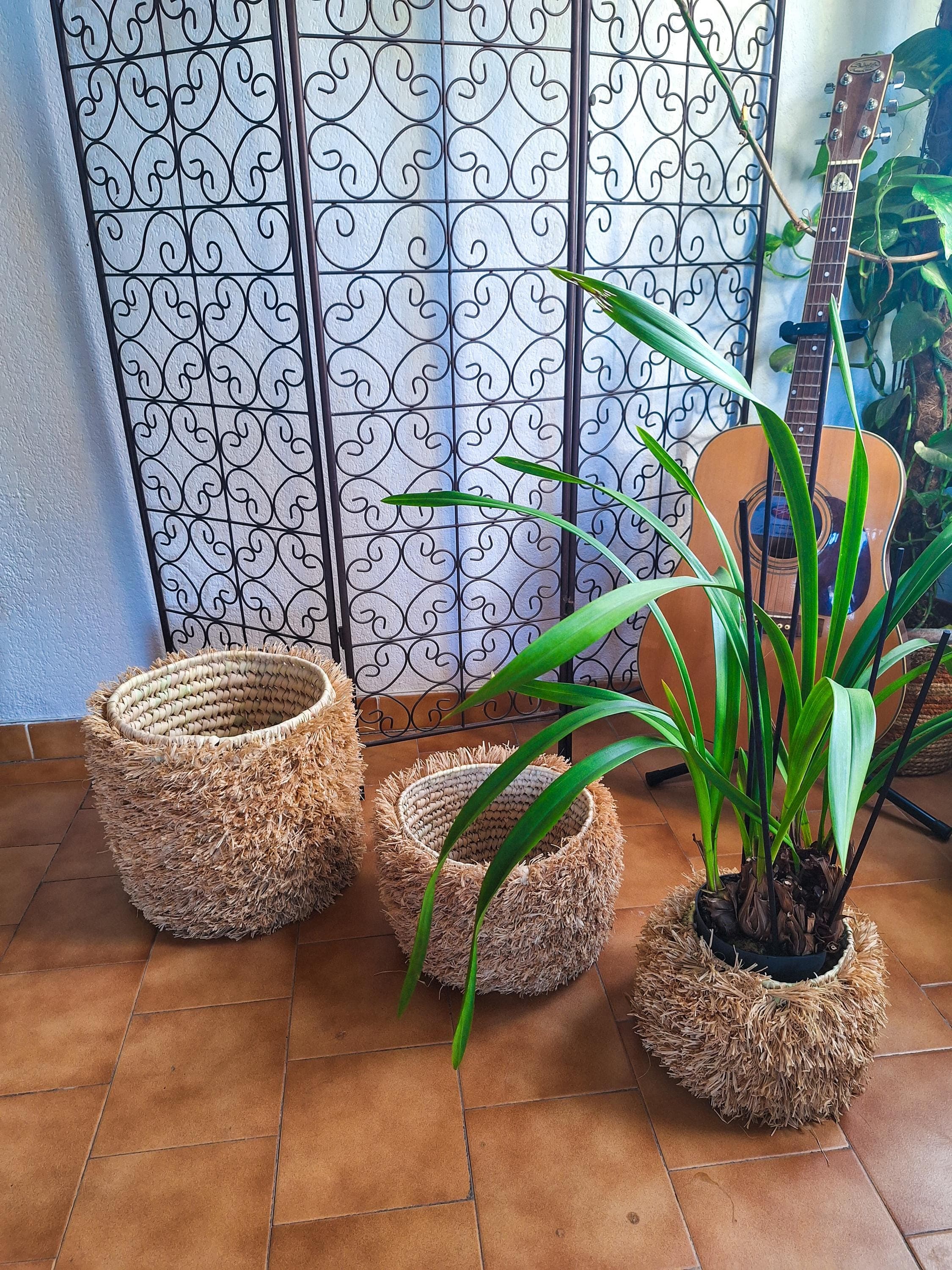 Lot de 3 paniers en osier naturel