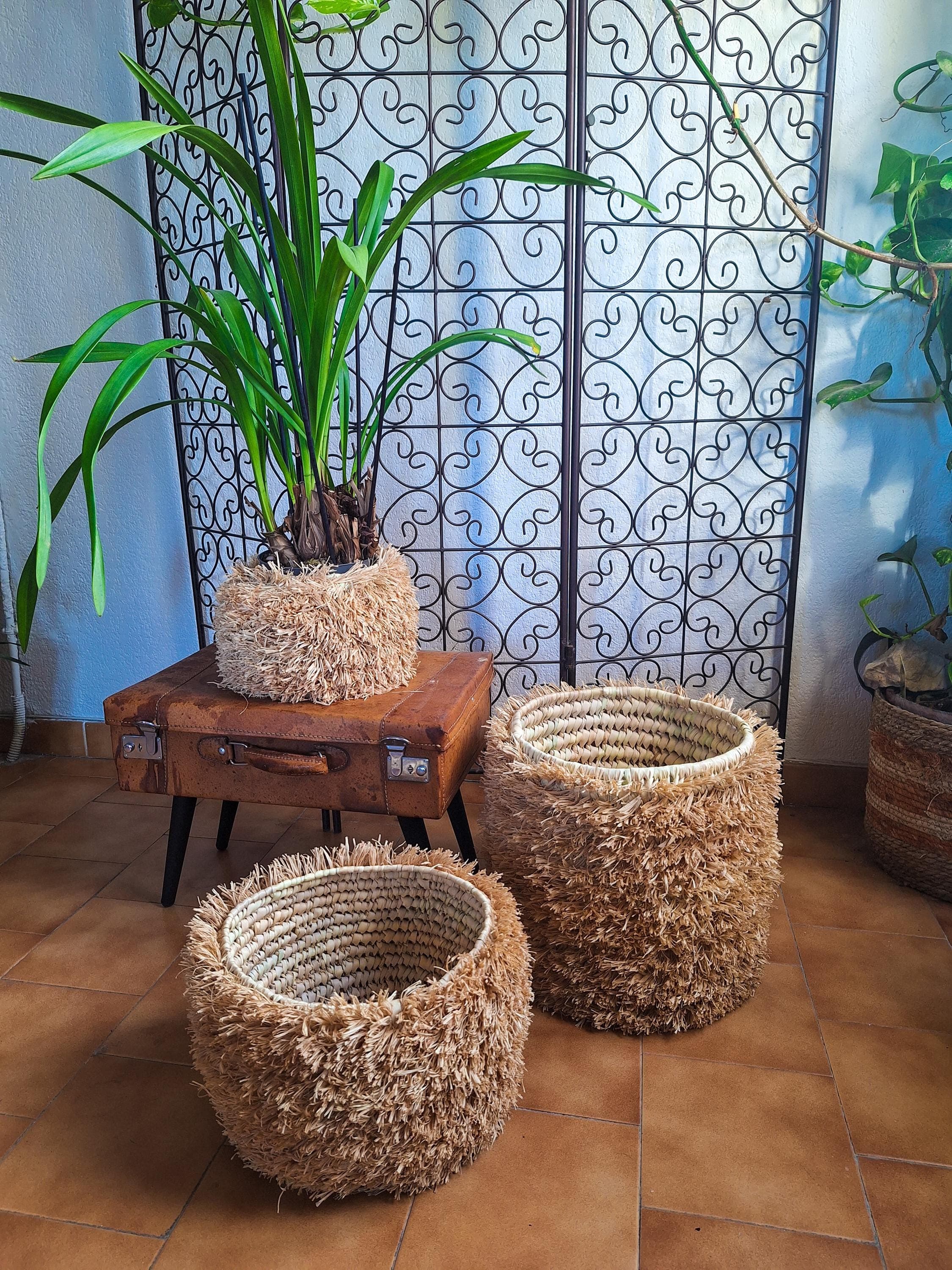 Lot de 3 paniers en osier naturel