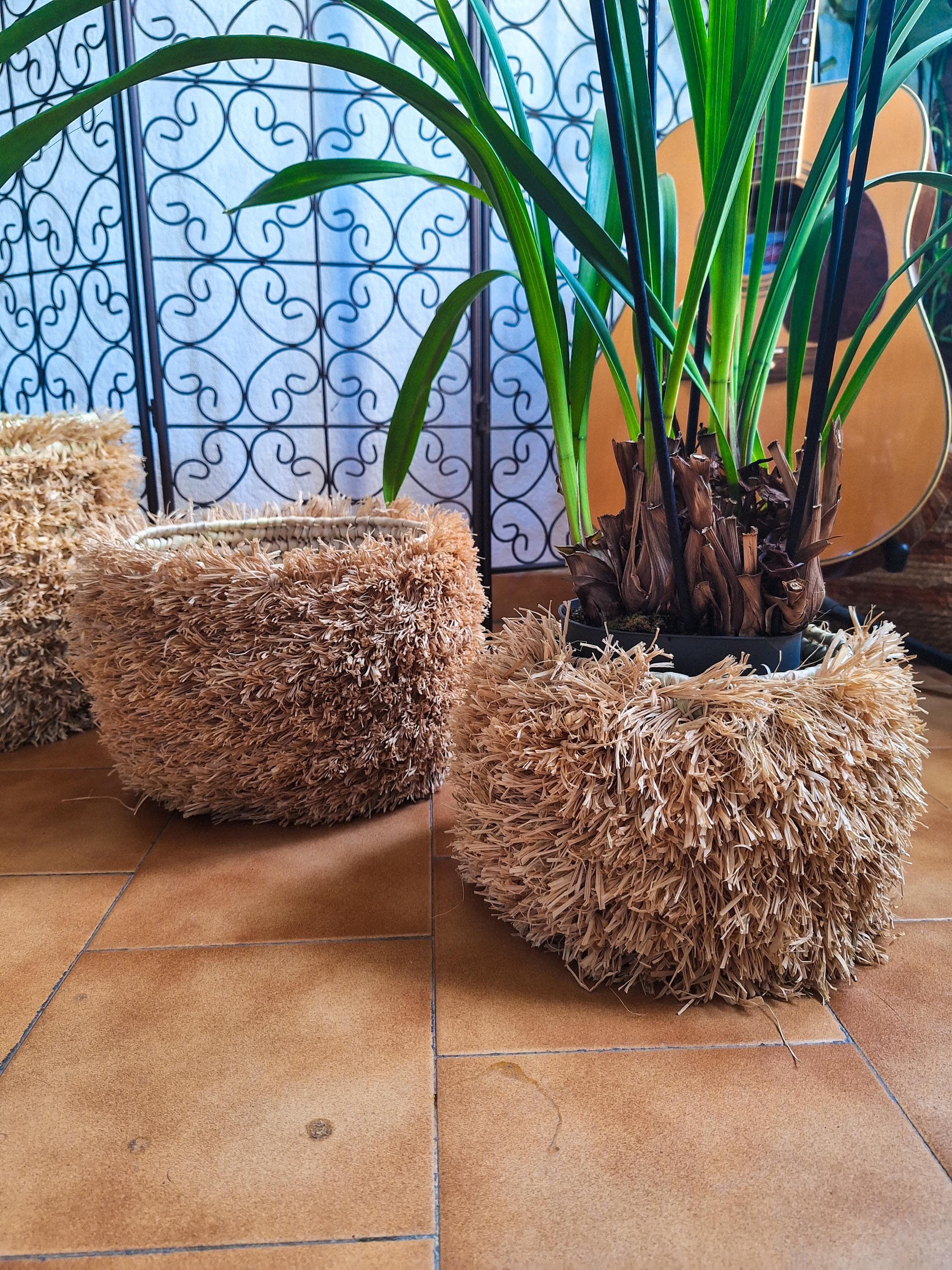 Lot de 3 paniers en osier naturel