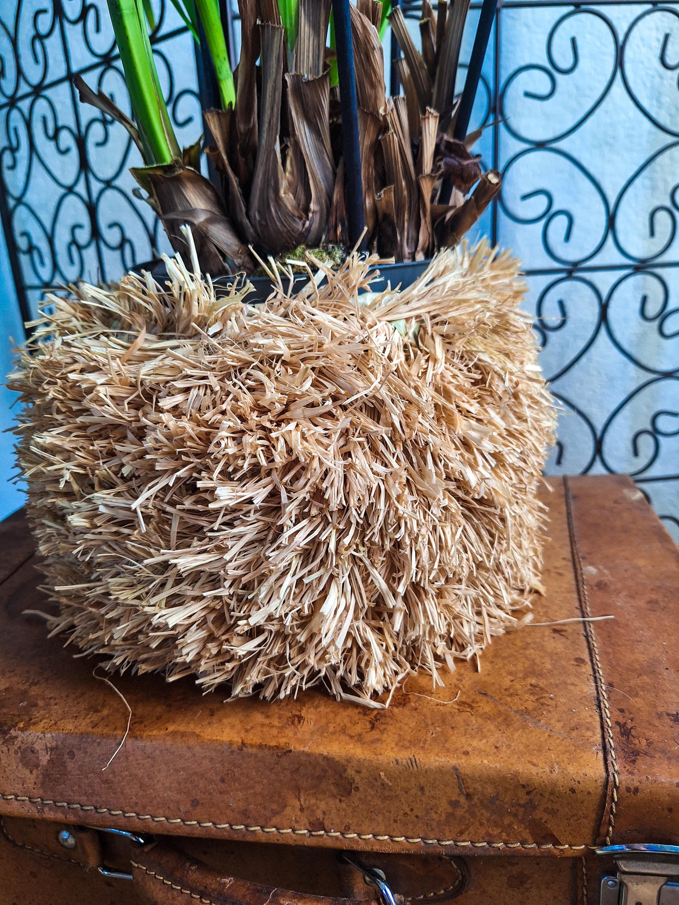 Lot de 3 paniers en osier naturel